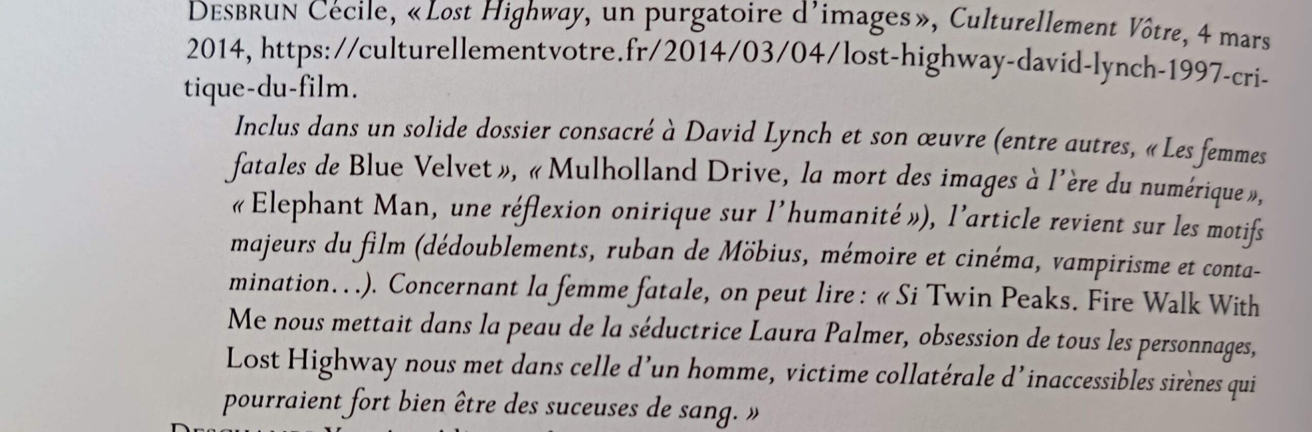 citation articles cécile desbrun culturellement vôtre dans essai lost highway de guy astic