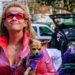 dossier analyse la revanche d'une blonde 25 ans après