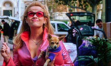dossier analyse la revanche d'une blonde 25 ans après