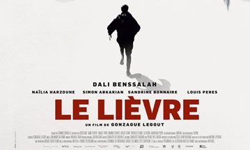 image article le lièvre