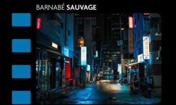 critique essai le nouveau cinéma sud-coréen de barnabé sauvage gros plan couverture