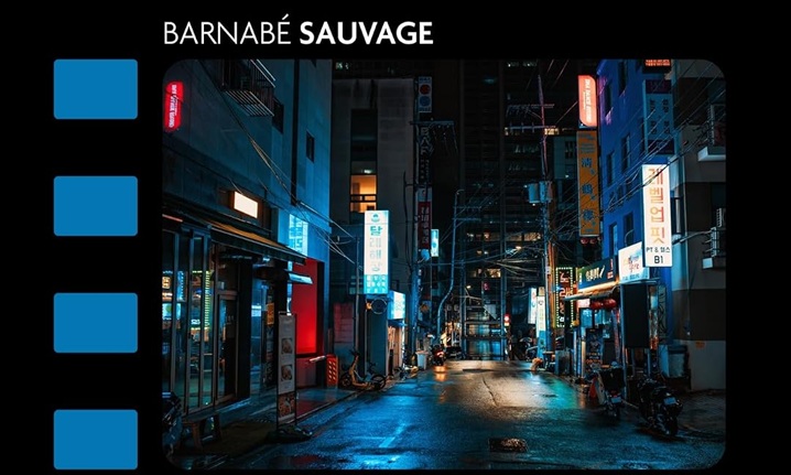 [Critique] Le nouveau cinéma Sud-Coréen – Barnabé Sauvage
  